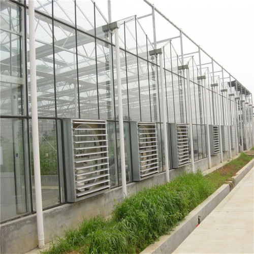 廠家直銷 連棟溫室大棚 連棟溫室大棚造價 溫室材料供應(yīng)商