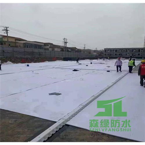 車庫虹吸排水 虹吸系統廠家 海綿城市虹吸排水