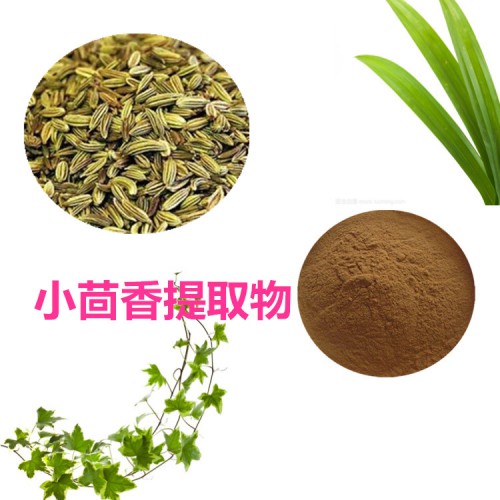 小茴香提取物10:1 小茴香粉 水溶  小茴香浸膏