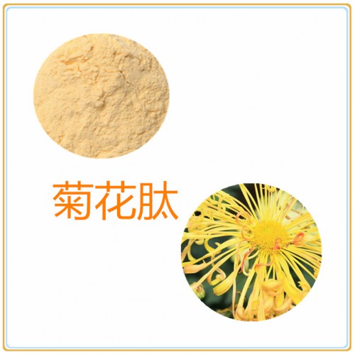 菊花肽 90%  菊花小分子肽 菊花蛋白