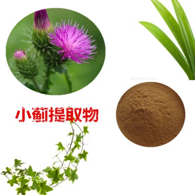 小薊提取物 水提 10:1  小薊粉 小薊浸膏