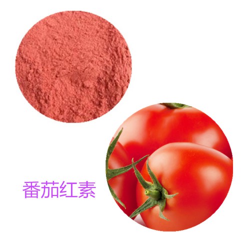 番茄紅素 番茄浸膏  番茄提取液 10:1