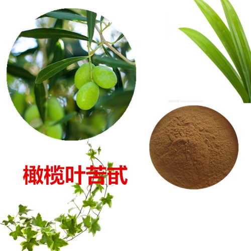 橄欖葉苦甙  20% 羥基酪醇  20% 橄欖葉提取物
