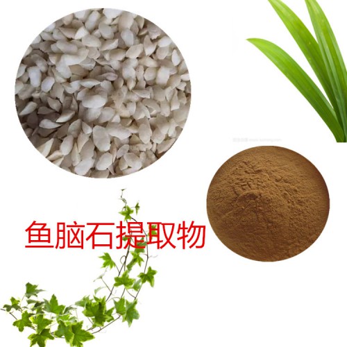 魚腦石提取物 魚腦石速溶粉 魚腦石浸膏 魚腦石粉
