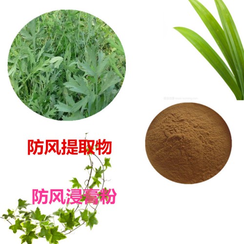 防風提取物 水提 防風速溶粉 防風浸膏 防風粉 水溶