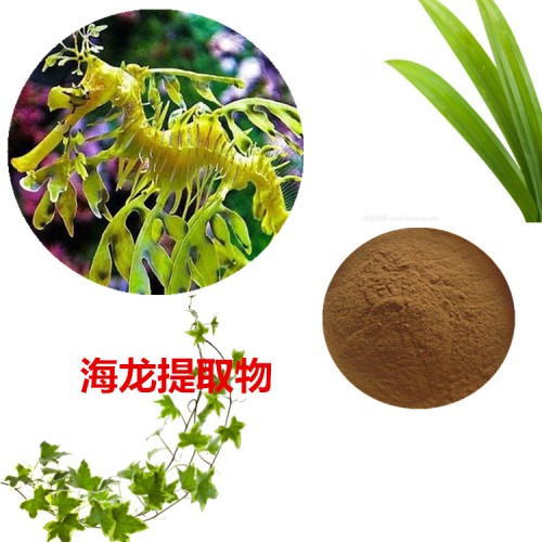 海龍提取物  海龍粉  海龍速溶粉 海龍浸膏粉
