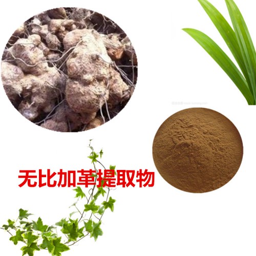 無比加革提取物 無比加革粉 無比加革浸膏粉