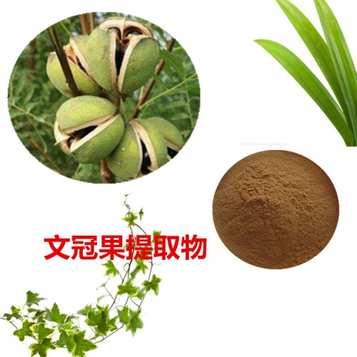 文冠果提取物  文冠果粉 文冠果速溶粉 文冠果浸膏粉