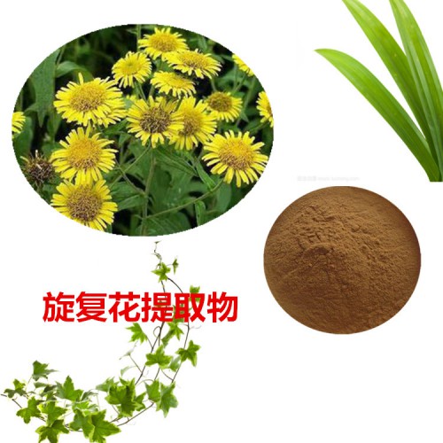 旋復(fù)花提取物 旋復(fù)花粉 旋復(fù)花速溶粉 旋復(fù)花浸膏粉