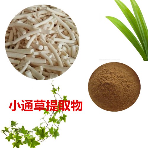 小通草提取物 小通草粉 小通草速溶粉 小通草浸膏粉