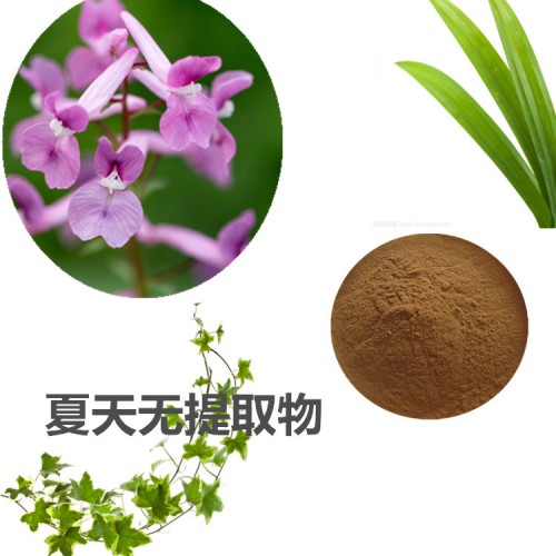 夏天無(wú)提取物 夏天無(wú)粉夏天無(wú)速溶粉 夏天無(wú)浸膏粉