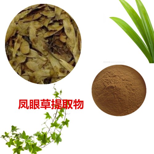 鳳眼草提取物 鳳眼草粉 鳳眼草速溶粉 鳳眼草浸膏粉