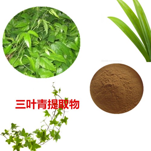 三葉青提取物 三葉青粉  三葉青速溶粉 三葉青浸膏粉