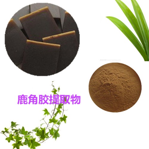 鹿角膠提取物 鹿角膠粉  鹿角膠速溶粉 鹿角膠浸膏粉