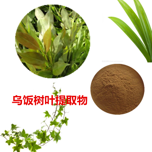 烏飯樹葉提取物  烏飯樹葉速溶粉 烏飯樹葉浸膏粉