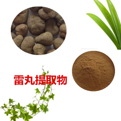 雷丸提取物 10:1  雷丸粉  雷丸速溶粉 雷丸浸膏粉