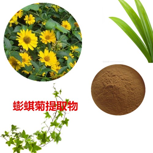 蟛蜞菊提取物  蟛蜞菊粉 蟛蜞菊速溶粉 蟛蜞菊浸膏粉