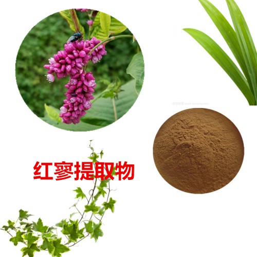 紅寥提取物 10:1  紅寥粉 紅寥速溶粉 紅寥浸膏粉