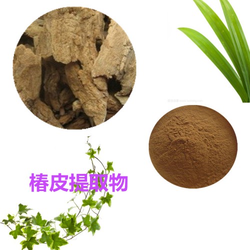 椿皮提取物 椿皮粉 椿皮速溶粉 椿皮浸膏粉