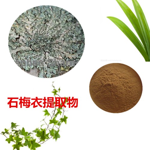 石梅衣提取物  石梅衣粉 石梅衣速溶粉 石梅衣浸膏粉