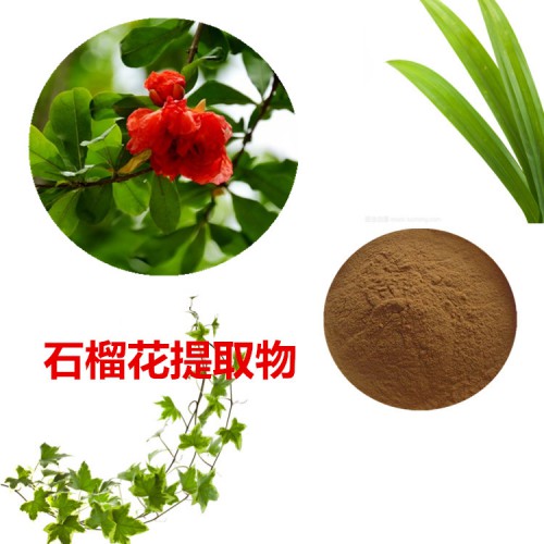 石榴花提取物 石榴花粉 石榴花速溶粉 石榴花浸膏粉