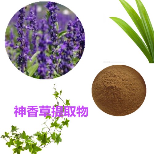 神香草提取物 神香草粉 神香草速溶粉 神香草浸膏粉