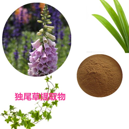 獨尾草提取物  獨尾草粉 獨尾草速溶粉 獨尾草浸膏粉
