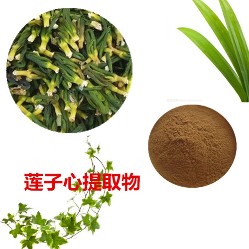 蓮子心提取物 蓮子心粉 蓮子心速溶粉 蓮子心浸膏粉