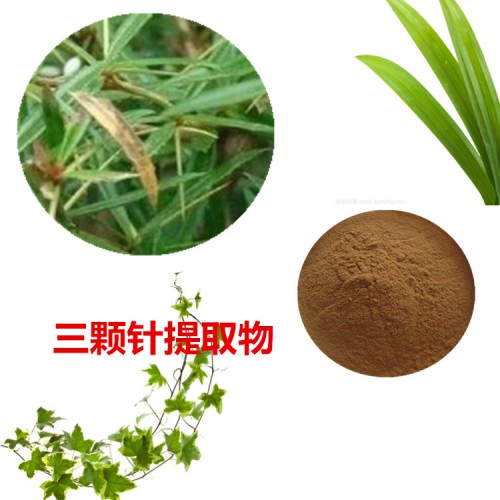三顆針提取物 三顆針粉 三顆針速溶粉 三顆針浸膏粉