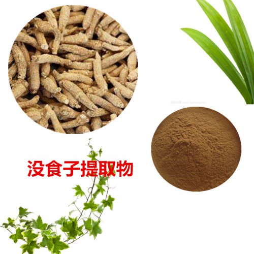沒食子提取物  沒食子粉 沒食子速溶粉 沒食子浸膏粉