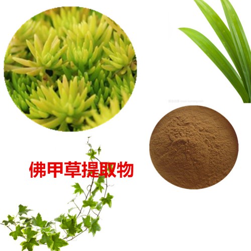 佛甲草提取物 佛甲草粉 佛甲草速溶粉 佛甲草浸膏粉
