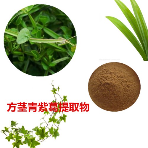 方莖青紫葛提取物 方莖青紫葛粉 方莖青紫葛速溶粉