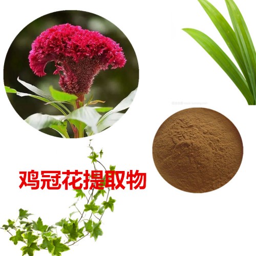 雞冠花提取物 10:1 雞冠花粉 雞冠花速溶粉