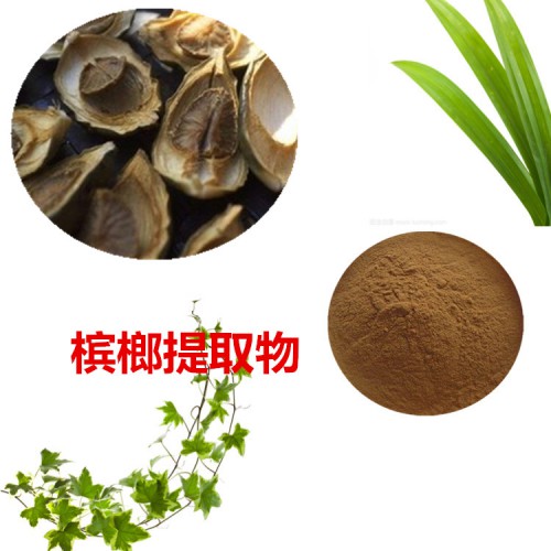 檳榔提取物  檳榔粉 檳榔速溶粉 檳榔浸膏粉