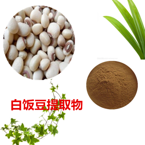 白飯豆提取物  白飯豆粉 白飯豆速溶粉 白飯豆浸膏粉