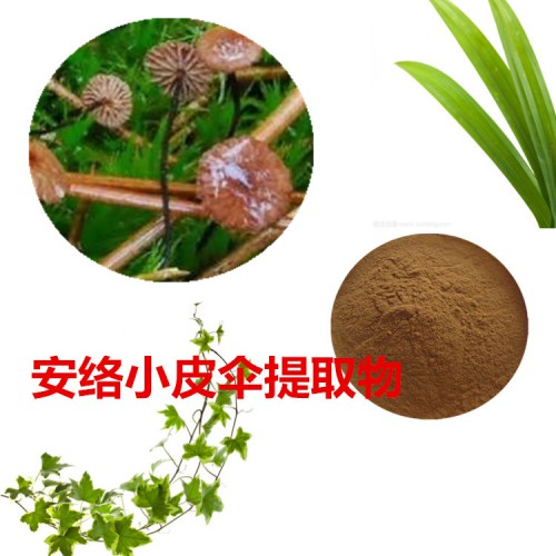 安絡小皮傘提取物 安絡小皮傘粉 安絡小皮傘速溶粉