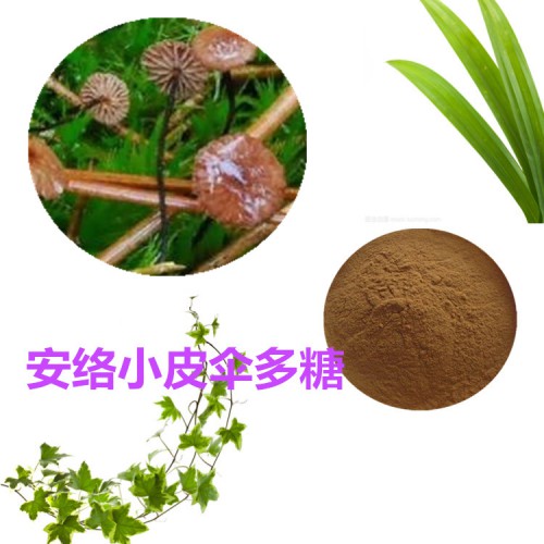 安絡小皮傘多糖  安絡小皮傘浸膏  安絡小皮傘提取液