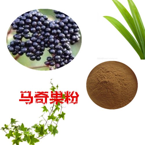 馬奇果提取物 馬奇果粉 馬奇果速溶粉 馬奇果浸膏粉