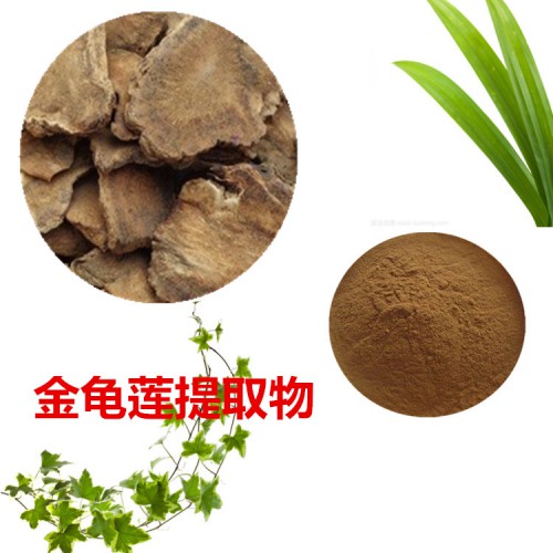 金龜蓮提取物  金龜蓮粉 金龜蓮速溶粉 金龜蓮浸膏粉