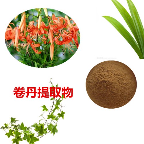 卷丹提取物  卷丹粉 卷丹速溶粉 卷丹浸膏粉