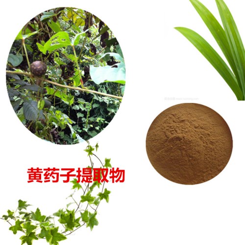 黃藥子提取物   黃藥子粉 黃藥子速溶粉 黃藥子浸膏粉