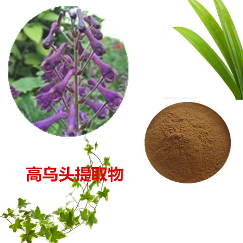 高烏頭提取物 高烏頭粉  高烏頭速溶粉  高烏頭浸膏粉
