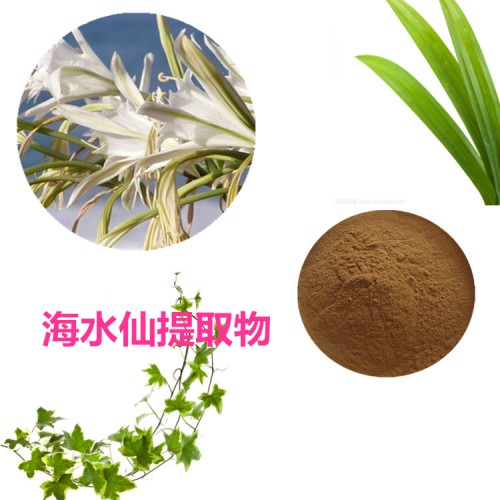 海水仙提取物   海水仙粉  海水仙速溶粉 海水仙浸膏粉
