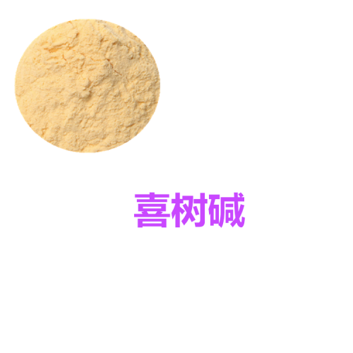 喜樹提取物 喜樹堿 喜樹粉  喜樹速溶粉 喜樹浸膏粉