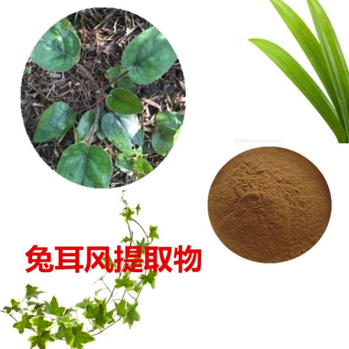 兔耳風提取物 兔耳風粉  兔耳風速溶粉 兔耳風浸膏粉