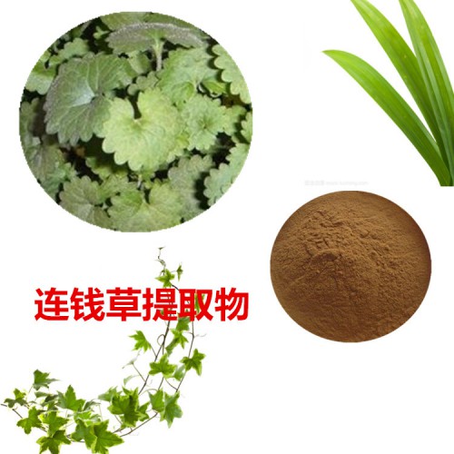 連錢草提取物 連錢草粉 連錢草速溶粉 連錢草浸膏粉