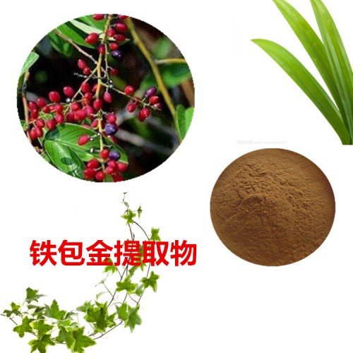 鐵包金提取物 鐵包金粉 鐵包金速溶粉 鐵包金浸膏粉