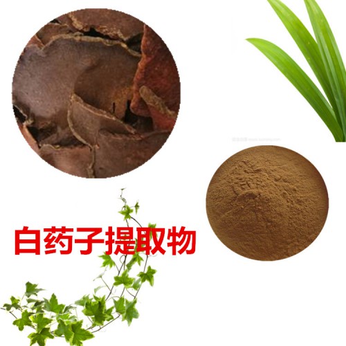 白藥子提取物 白藥子粉 白藥子速溶粉 白藥子浸膏粉