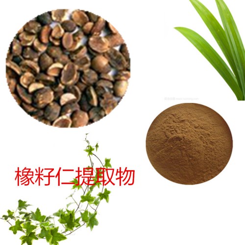 橡籽仁提取物  橡籽仁粉 橡籽仁速溶粉  橡籽仁浸膏粉