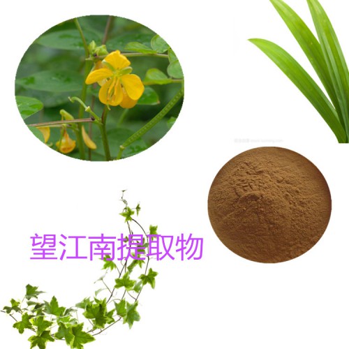 望江南提取物  望江南粉 望江南速溶粉 望江南浸膏粉